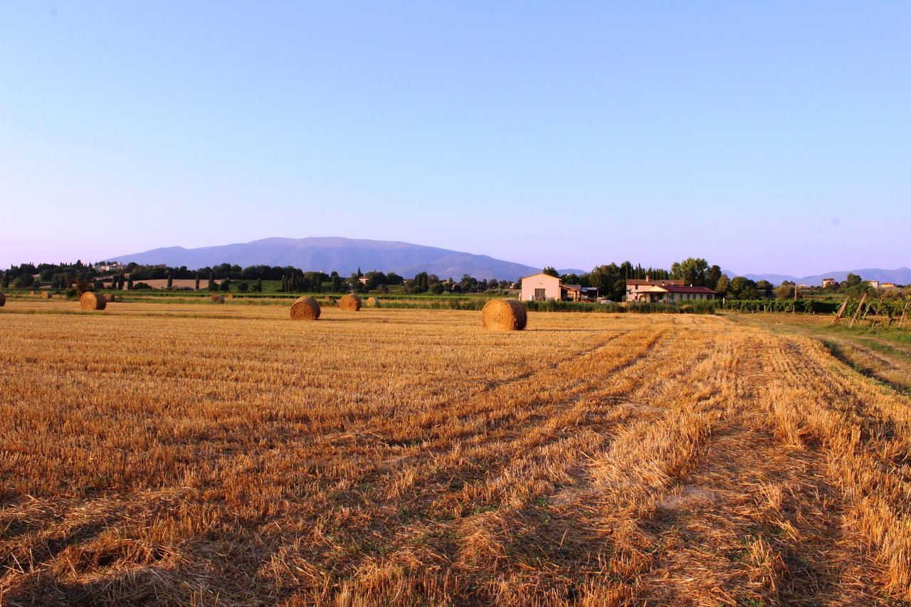Le Case Bevagna Exterior photo